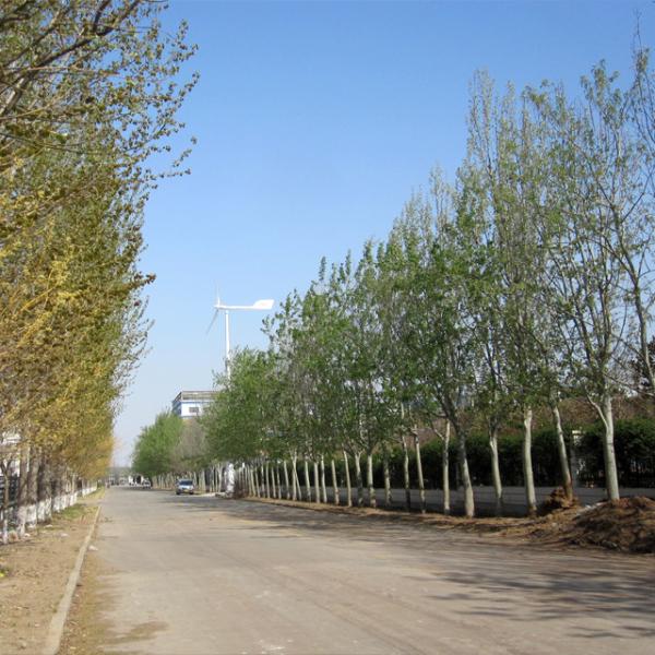 Horizontal Wind Turbine Magnet Generator 10000 Watt 10KW 5KW