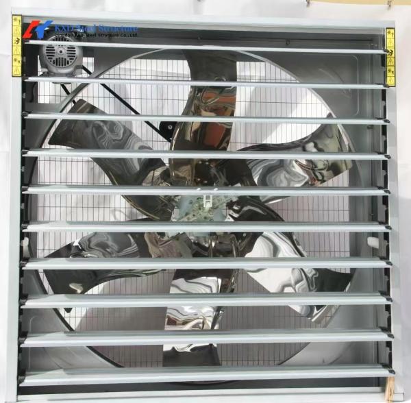Poultry Farm Chicken Feeding Line Automatic Poultry Pan Feeding System
