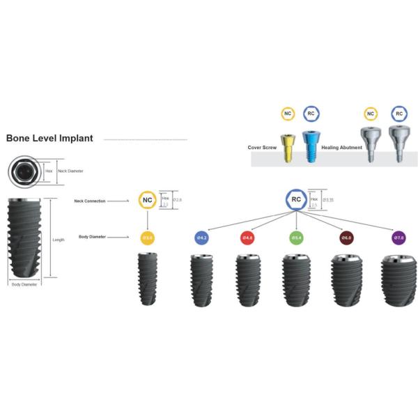 Submerged Type Internal Hex Titanium Implant Bone Level Dental Implant Compatible with Custom 3D Design