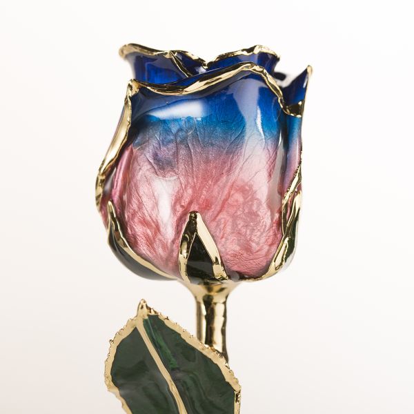 Gold Trimmed Rose Preservied  Rose for Valentine Mother Day Christmas Gifts Handmade Eternal Rose