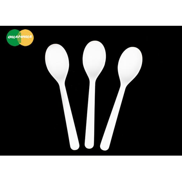 Sustainable CPLA Disposable Tasting Spoon Eco Friendly Mini