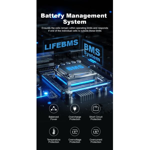 CLF OEM ODM 24V 36V 48V LiFePO4 Литий железный аккумуляторные пакеты Машины для уборки пола Автомобили для гольфа с зарядным устройством BMS