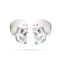 El golpear ligeramente de perforación de las placas del uno mismo maxilofacial del sistema atornilla grueso de encargo