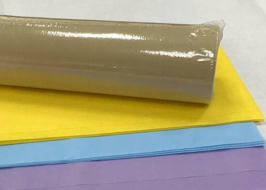 Pré de coupe petit pain écologique de textile tissé non pour la nappe jetable dans diverses couleurs