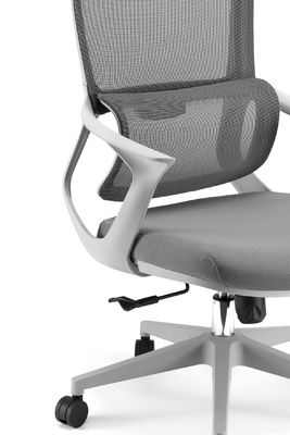 Adjustable Height Computer Desk Chair with Ergonomic Design Swivel Base and Durable PP Materials for Office Comfort