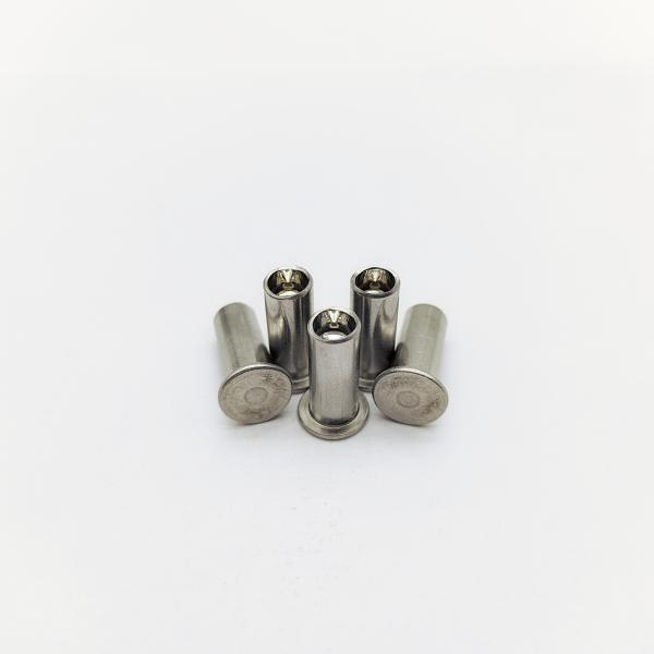 316 Rivets en acier inoxydable M5-M12 Tête plate 40% creux