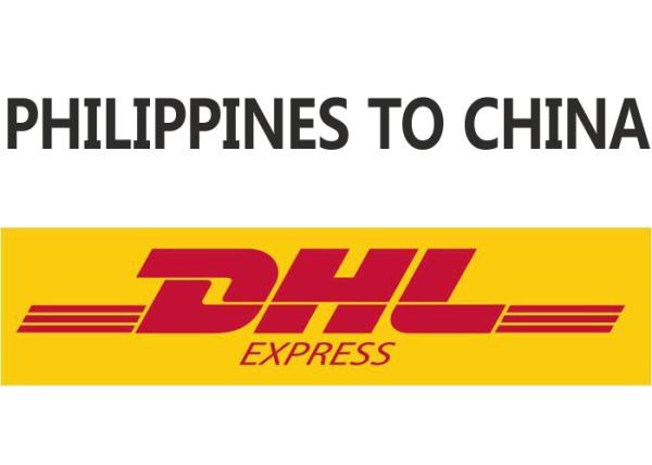 Transport Sea Freight Forwarding Services Minimize Cost High Safety