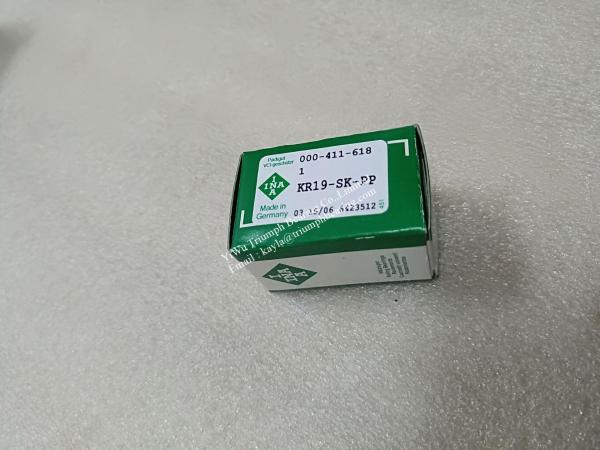 INA Stud type track rollers  KR19-SK-PP