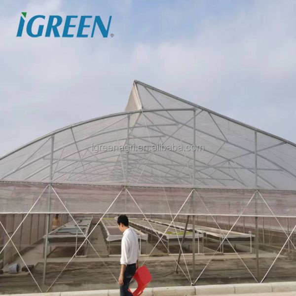 Commercial Tropical Roof Vent Single-span Large Greenhouses Hot Dipped Galvanized Steel Film Cover for Tomato Lettuce Pepper