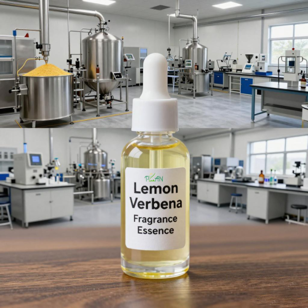 Body Wash Fragrances  Lemon Verbena Fragrance Essence  Oil For Shampoo and Shower Gel & Scented Soap Making- IFRA