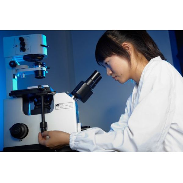 Ningbo Pinbo Plastic Manufacturer Co., LTD