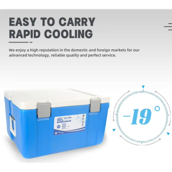 65L Ice Cooler Box with Fixed Ice Packs and 535*410*300mm Internal Size for Camping and Outdoor Use