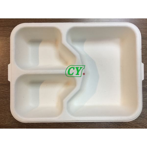 Biodegradable Sugarcane Bagasse Clamshell Lunch Box Machine Virgin Pulp Wood Pulp