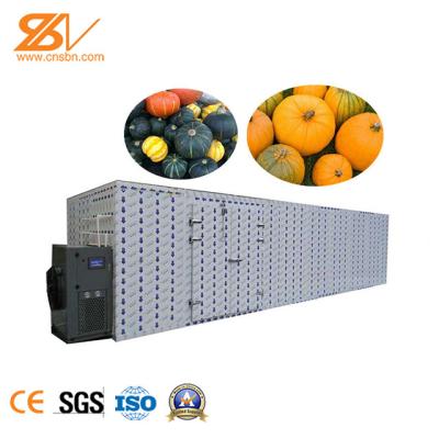PLC System Safe Dryer Oven Machine Easy To Clean For Bean Pumpkin