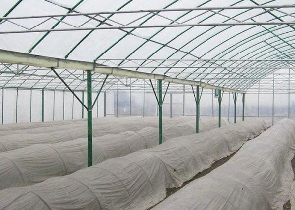 Irrigated Clear Cooling Poly Plastic Film Greenhouse