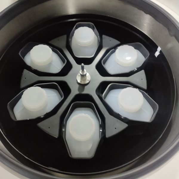CFL8R Floor Mount Centrifuge Machine for Blood Bank 6x2400ml Large Capacity Blood Bag Cold Refrigerated Centrifuge Swing Rotor