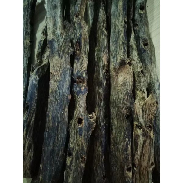 Nha Trang Vietnam OUD Agarwood Earthy Old Material Random Ornaments Full Of Oil