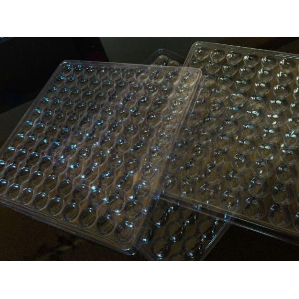 PET PP PS Pvc Blister Tray Disposable Blister Clear Plastic Esd Pcb Ic Tray