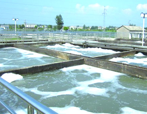 Бактериологические отравляющие вещества очистки сточных вод отростчатые, бактерии в очистке сточных вод