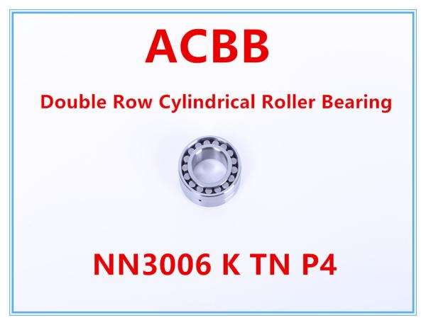 Roulement à rouleaux cylindrique de rangée de double de NN3006 K TN P4