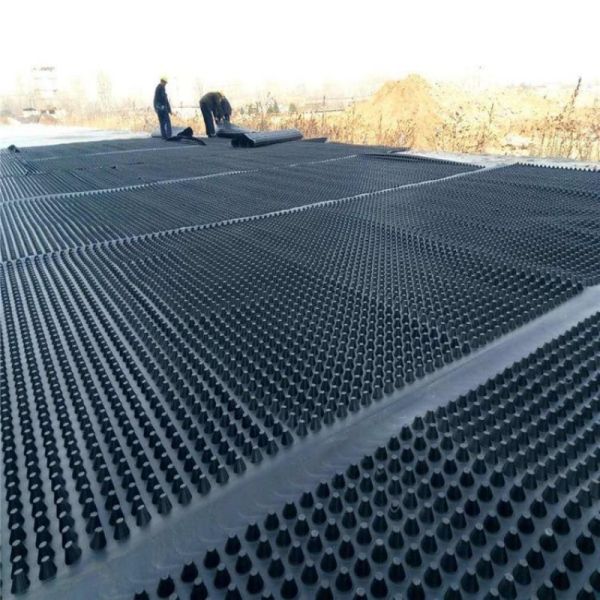 Durable HDPE Plastic Drainage Board Foundation Reinforcement Drain System
