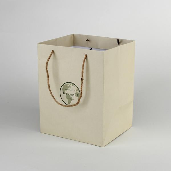 Custom Eco Packaging Solutions Skincare Beauty Paper Shopping Bag With Handle