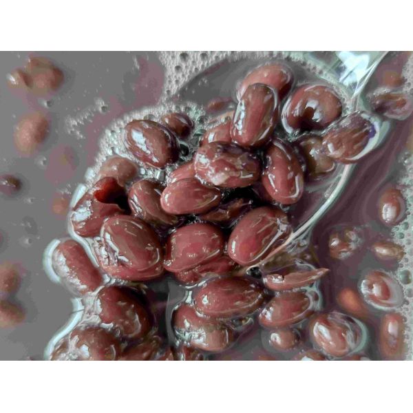 Питательное 820g законсервировало черные фасоли почки в рассоле