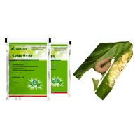 Produits biologiques végétaux Betterave de l'armée Contrôle des vers Pesticide en poudre Agriculture Pesticide Cabbage Worms SeNPV BT