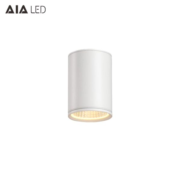 IP65 waterproof circular DALI dimmable outdoor downlight 12W 0-10V dimmable exterior down light &outside downlight