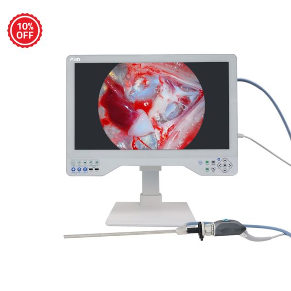 Medical Grade All In One FHD Endoscope Camera & Recorder System For ENT, Laparoscopy And Rigid Endoscopy
