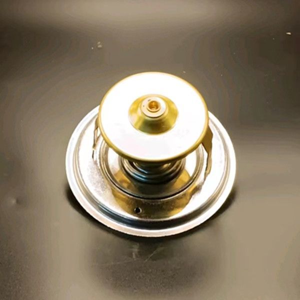 Se573/1 Thermostat Assembly For Perkins Engine Parts 4006 4008 4012 4016 T402103 914-013