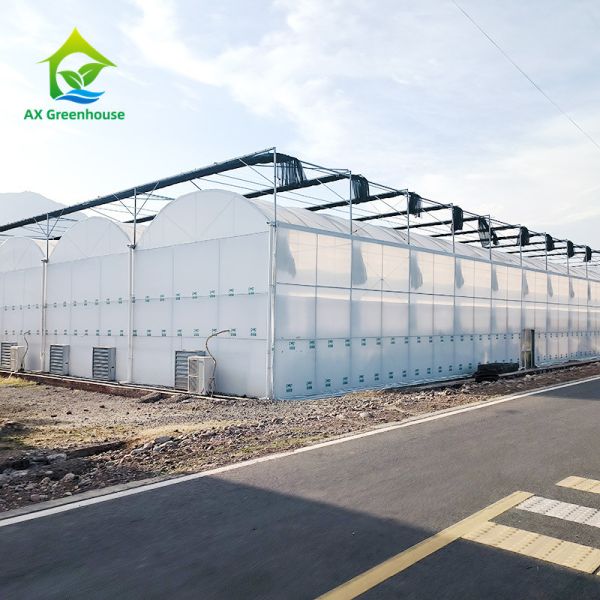 Оцинкованная стальная рама PE Пластиковая пленка теплица для сельского хозяйства Недорогой туннель