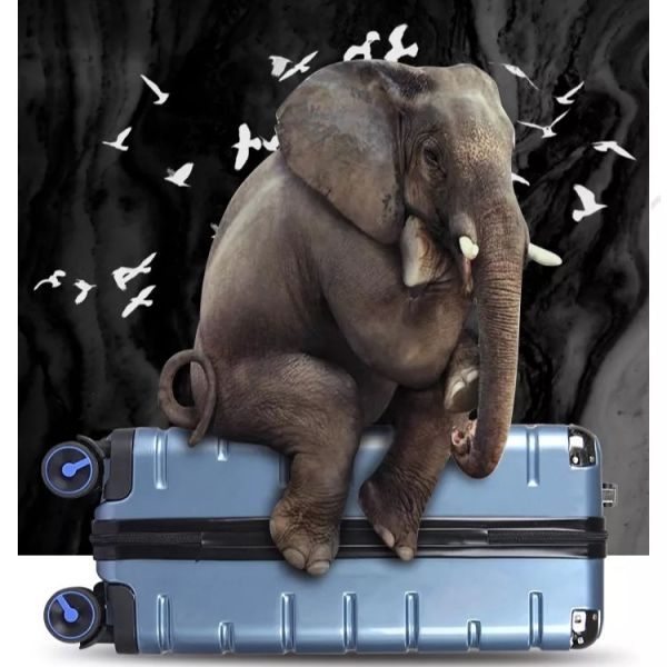 20 Inch Password Waterproof Travel Luggage Custom Logo Suitcase Trolley Case Universal Wheel