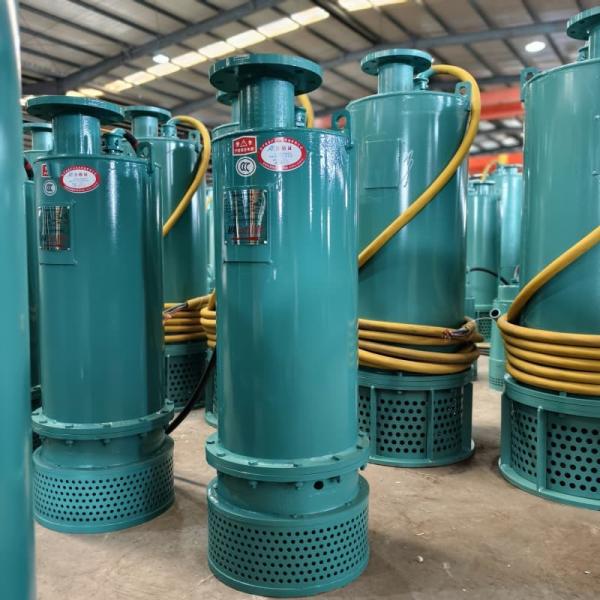ATPUMP Mud Submersible Slurry Pumps Heavy Duty Large Capacity BQS30kW
