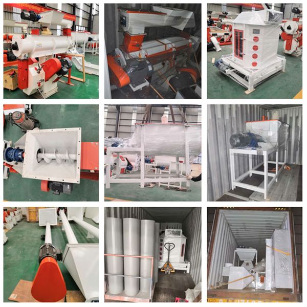 O gado de 15 T/H alimenta a fatura da máquina