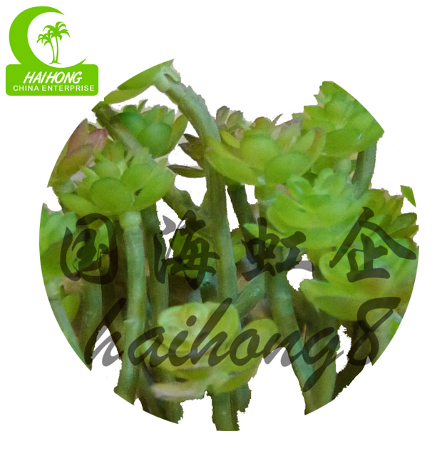 Анти- FadingNo нянча искусственный суккулентный завод, мини поддельные Succulents 15cm
