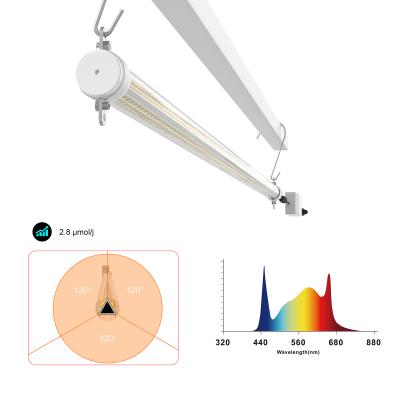 40W Interlight LED Cultivation Light Red Blue Commercial Greenhouse
