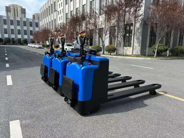 Customizd Non standard  Electric Pallet Staker Walkie Jack 3000 KGS With Pedal Protection Arm