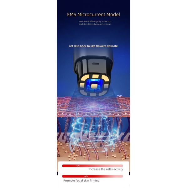 Multifunction Beauty Machine RF Anti Wrinkle Portable Beauty Equipment Vibration Face Massage Lifting Machine