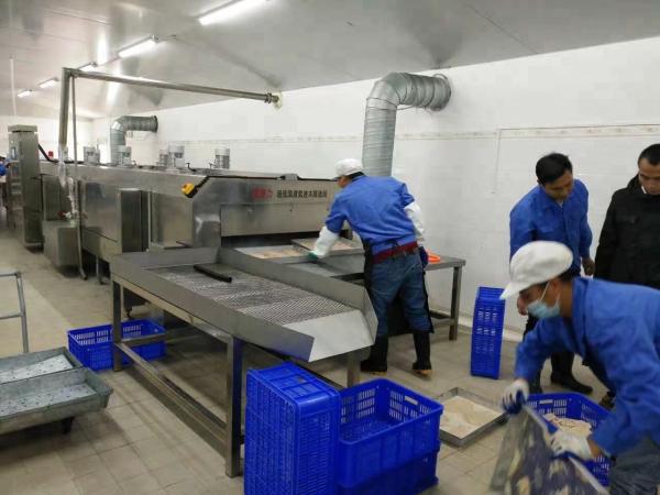 6 Kw Mesh Belt Tunnel Freezer 500kg/Hour Individual Quick Freezing  1500kg/H