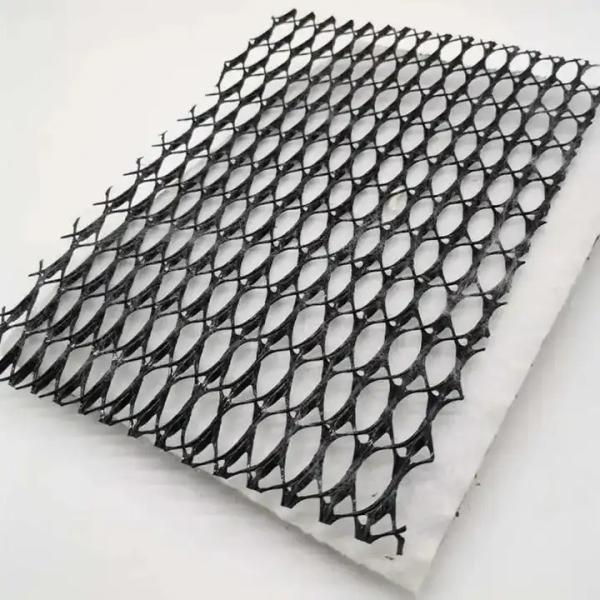 Chinese Design Style HDPE 3D Composite Drainage Geonet Network Mats for Sports Fields
