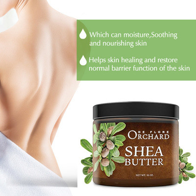 Body Skin Care Moisturizing Whitening Coconut Butter Body Lotion Natural Organic