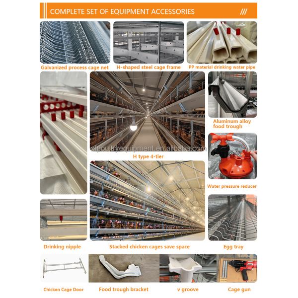 Large Metal Hen Layer House Battery Cage Run Cheap Chicken Coop for Poultry