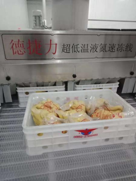 1200kg/H 1000kg/H Air Blast Ultra Low Chest Freezer Seafood Minus 120C