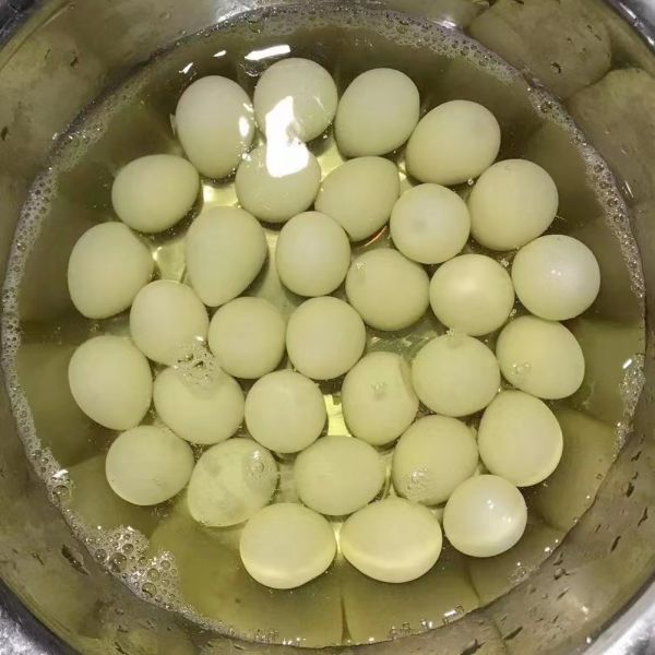 High Protein Fresh Table Eggs Brown And White Cooked 425g Canned Salted Quail Eggs