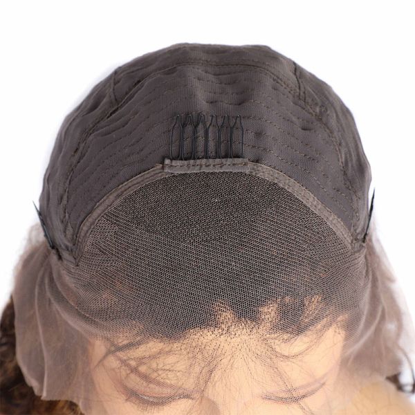 22inch Brazilian Hair P4/27 Transparent Lace Human Hair Wigs for Your Hair Needs