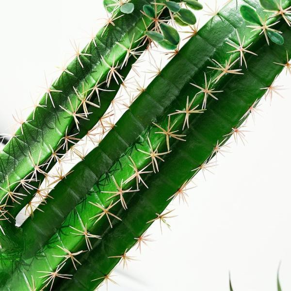 Cacto da forma e planta plástica falsificada suculento para a decoração da casa