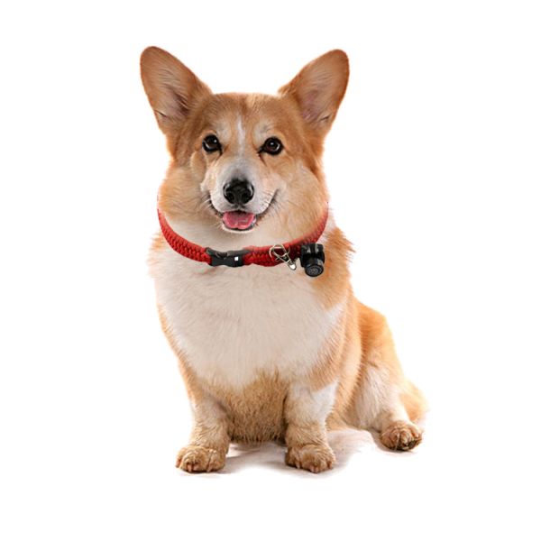 Polyester USB Cat Tracking Collar With Camera 58cm Cat Collar Camera Wifi