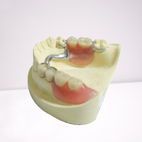 Замен продуктов лаборатории CE Dentures зубоврачебных пластиковые съемные частично