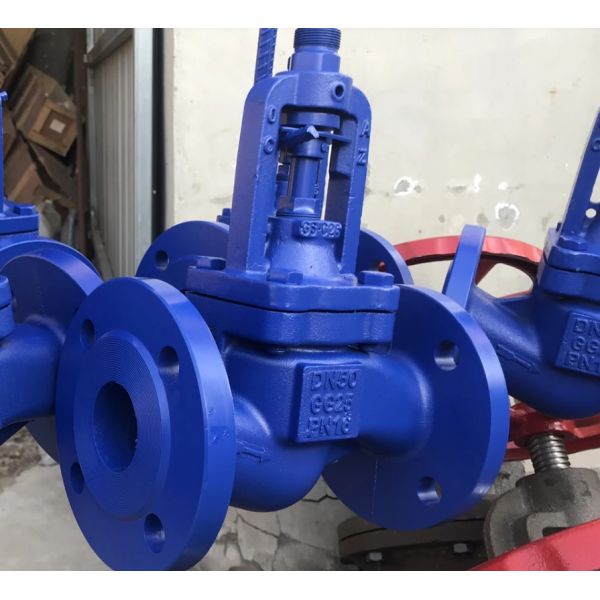 DIN bellows globe valve PN16 body GG25
